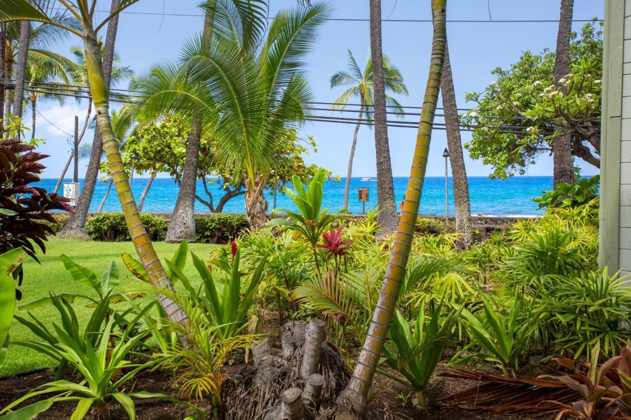 Spring Rates Book Now - Islander Condos Kailua-Kona Zewnętrze zdjęcie